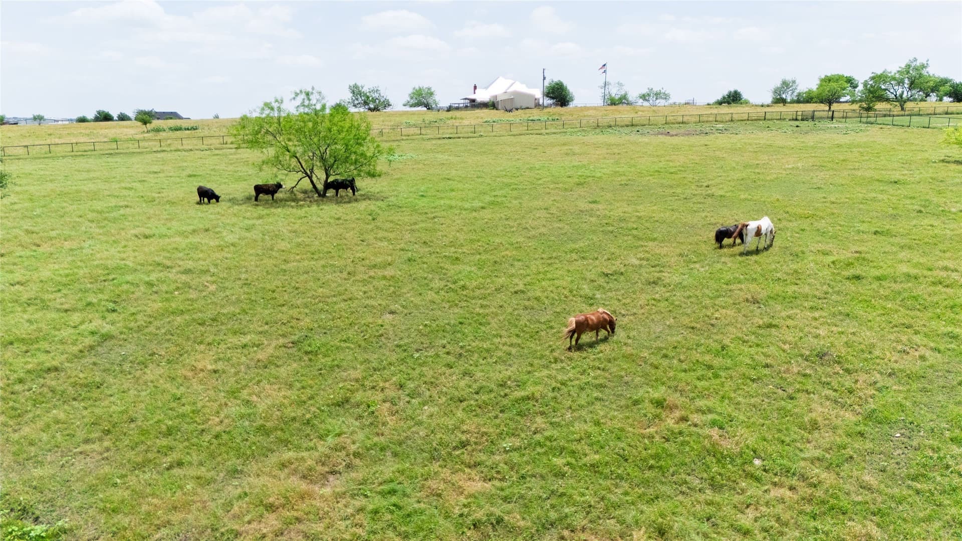 11.6 acres in Wise County - photo 22