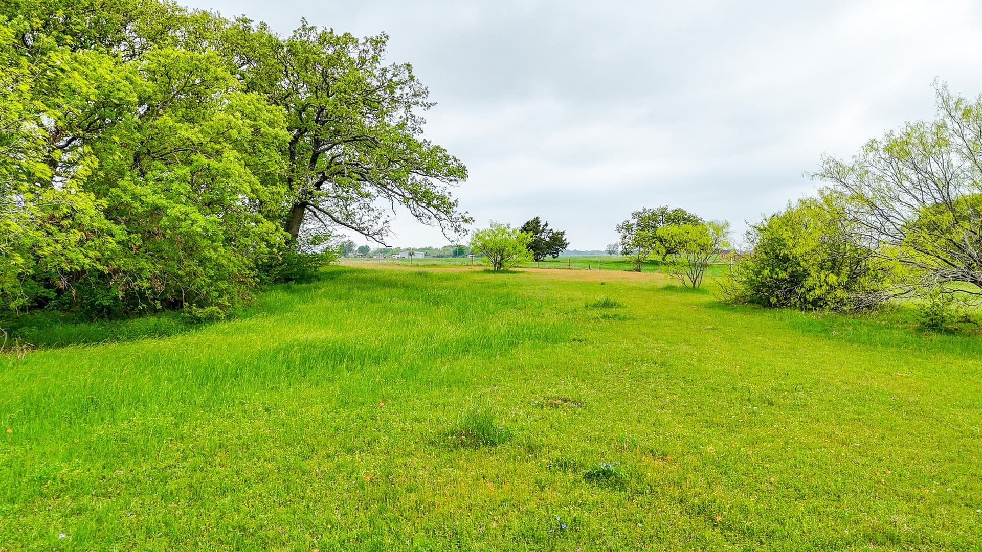 2 acres in Navarro County - photo 16