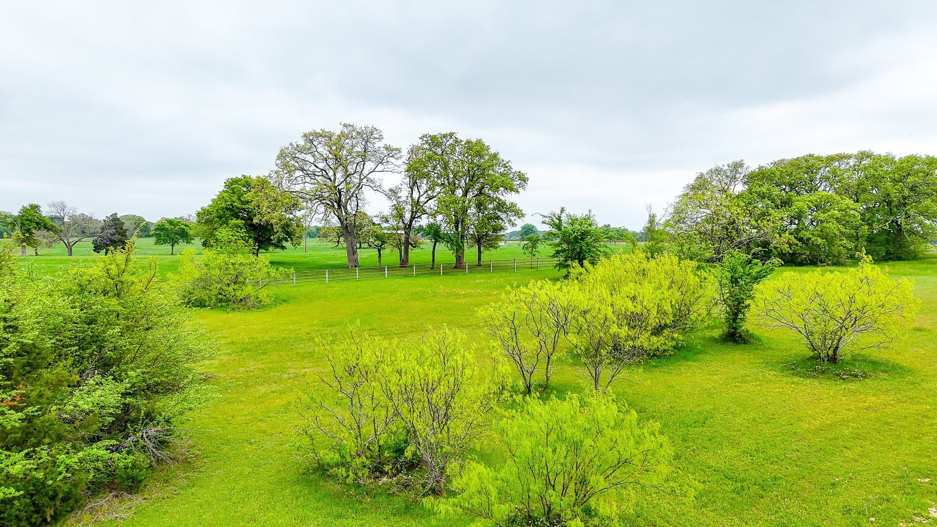 2 acres in Navarro County - photo 15