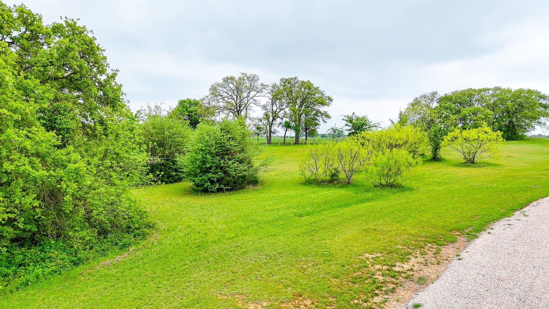 2 acres in Navarro County - photo 14