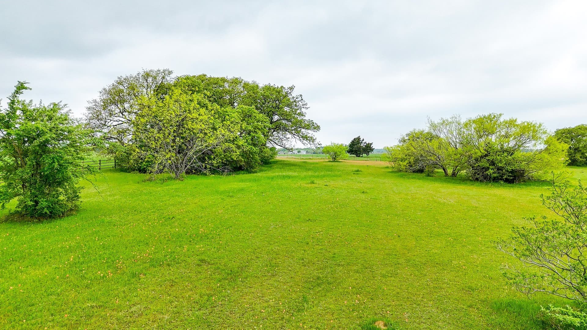 2 acres in Navarro County - photo 12
