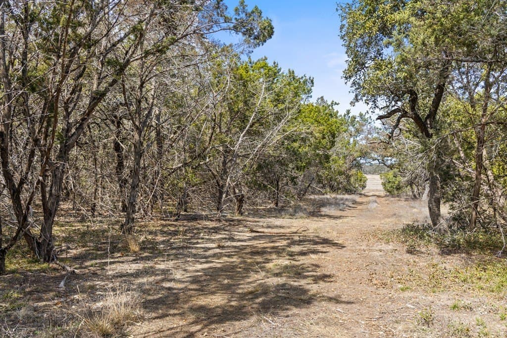 54 acres in Blanco County gallery image 3