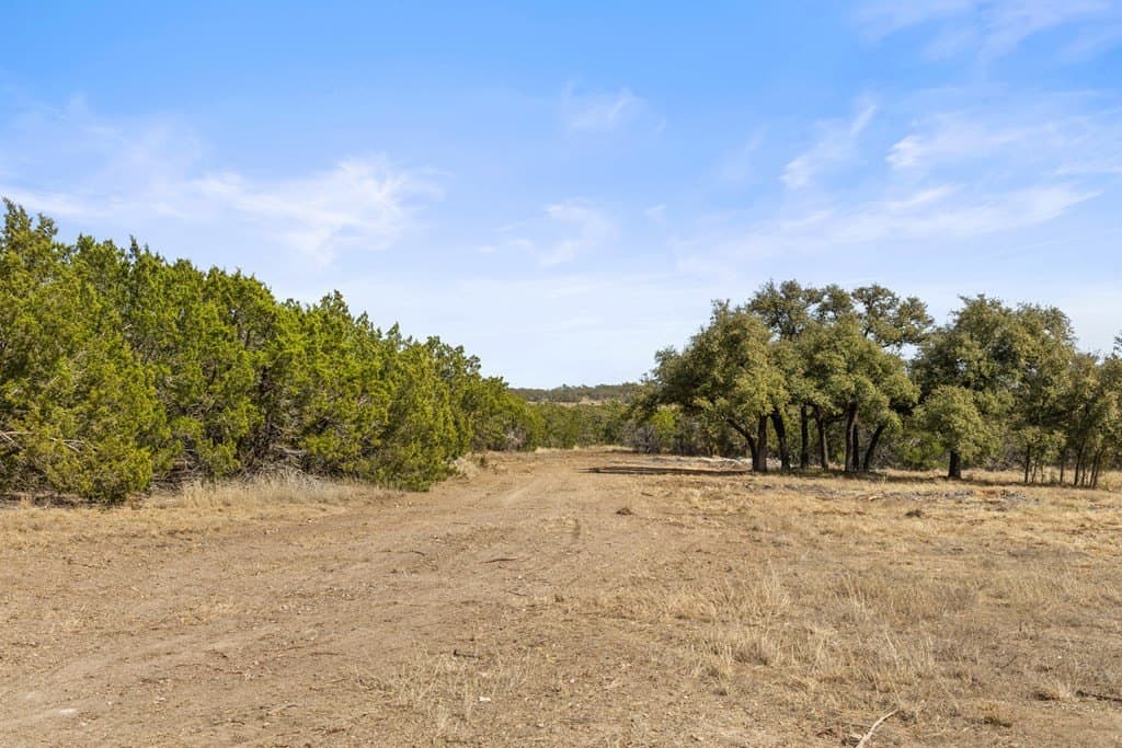 54 acres in Blanco County gallery image 2