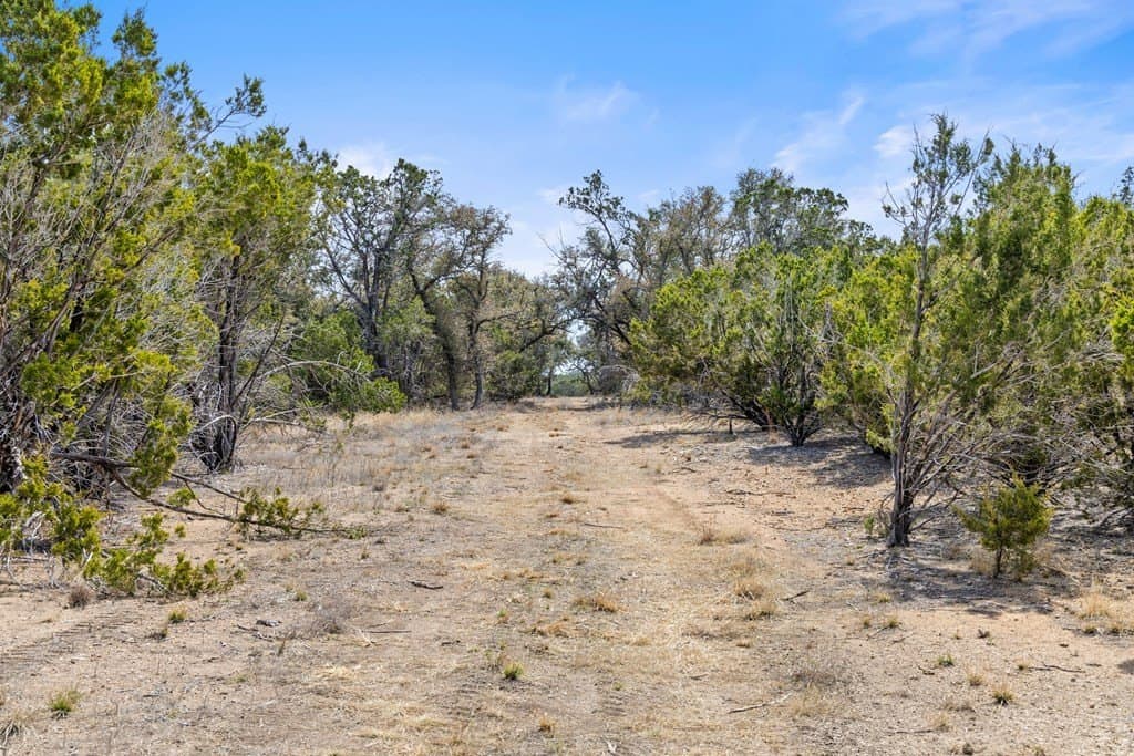 54 acres in Blanco County featured view
