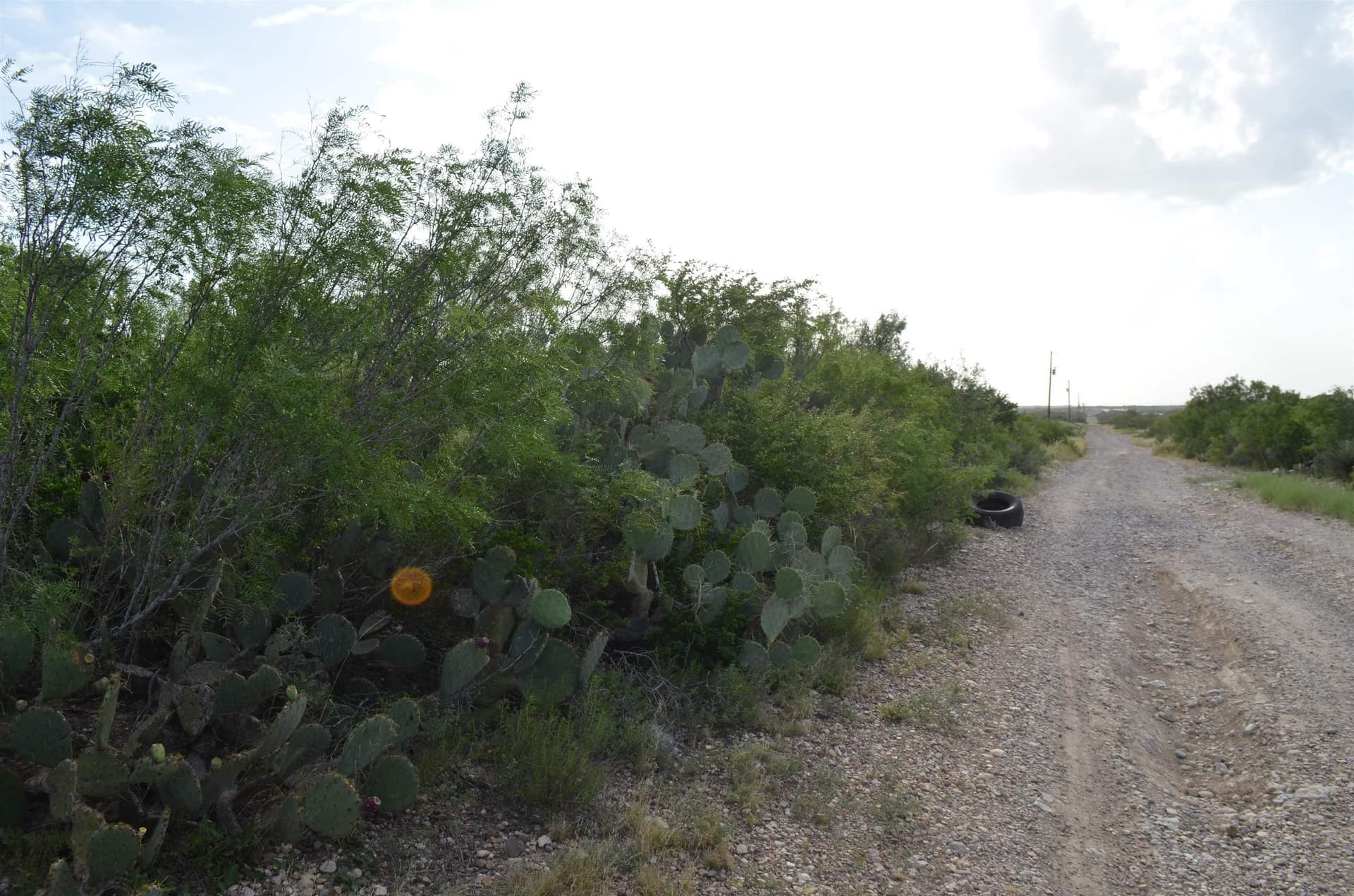 0.97 acres in USA County featured view