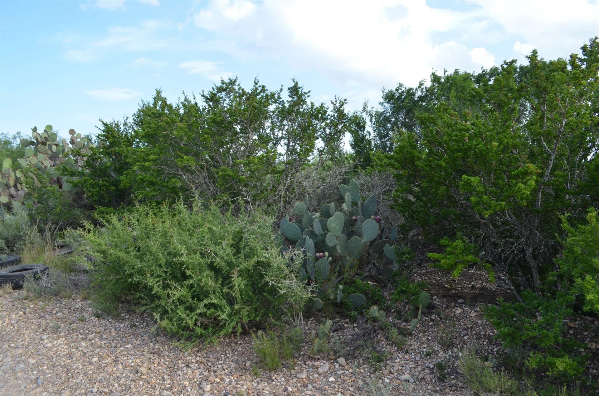 0.97 acres in Webb County - photo 9