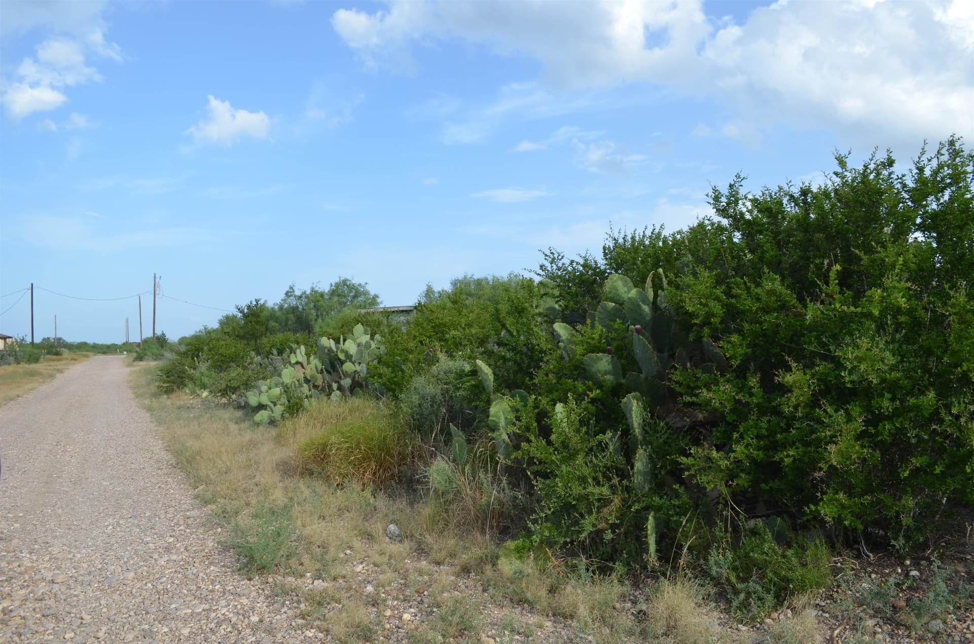 0.97 acres in USA County gallery image 2