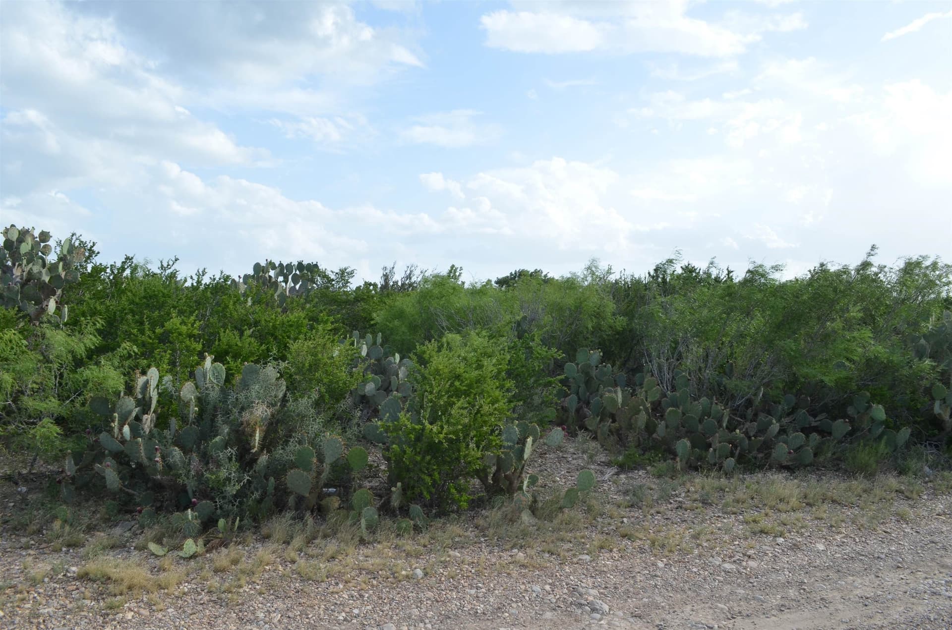 0.97 acres in USA County gallery image 3