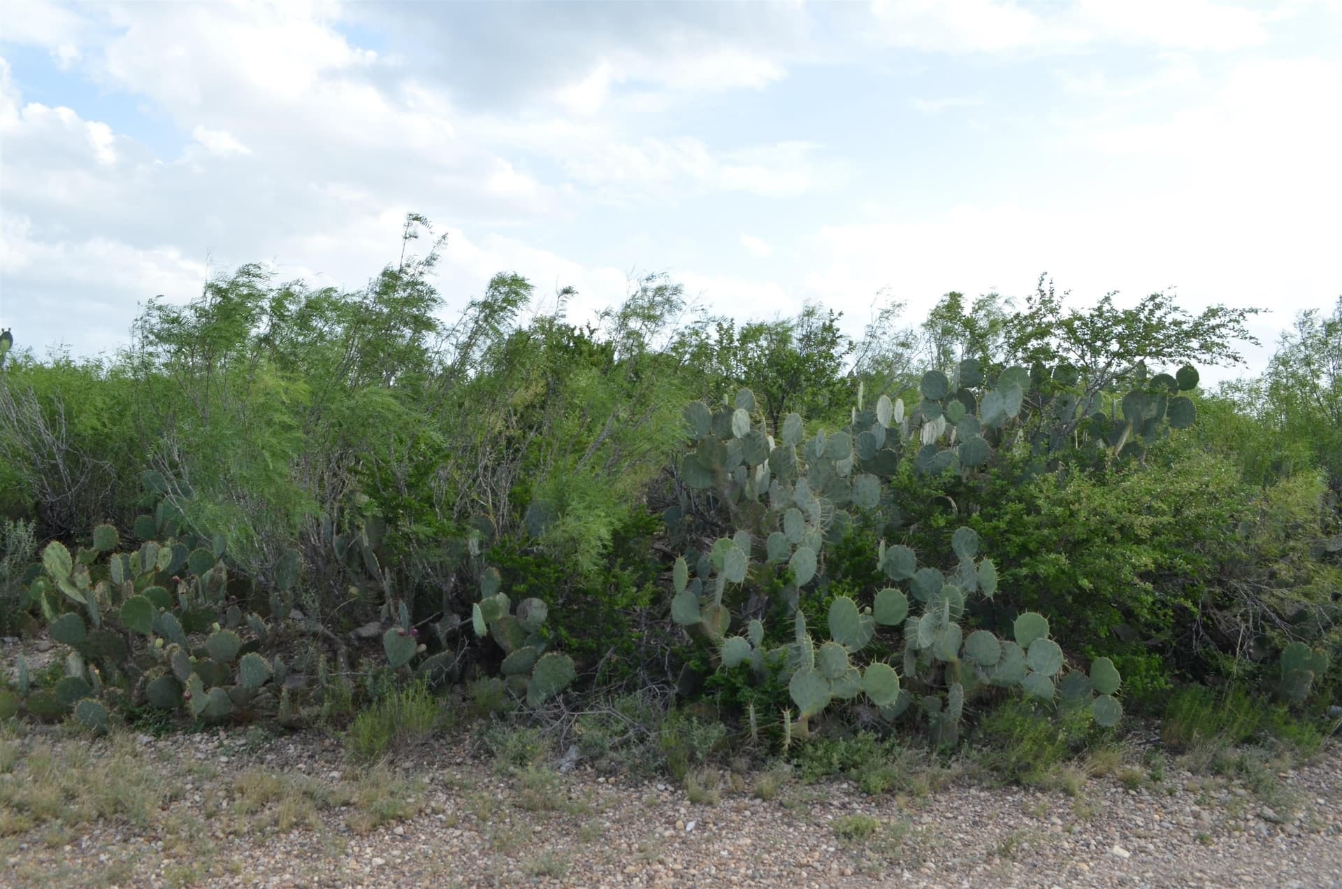 0.97 acres in Webb County - photo 7