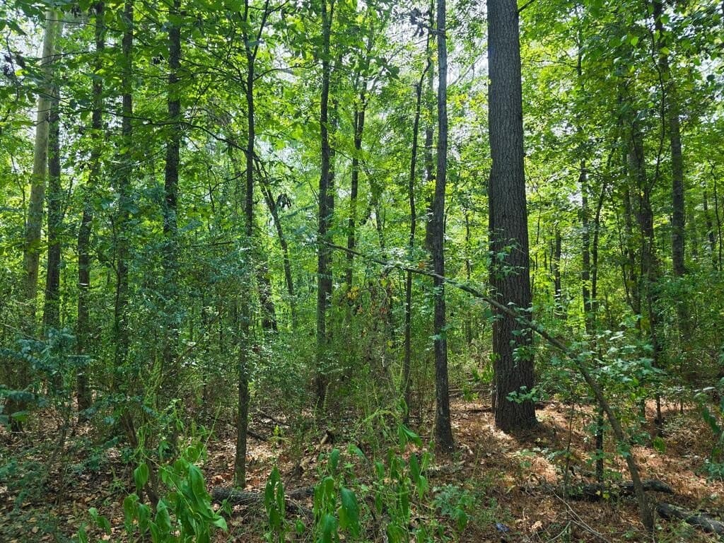0.57 acres in Texas County - photo 4
