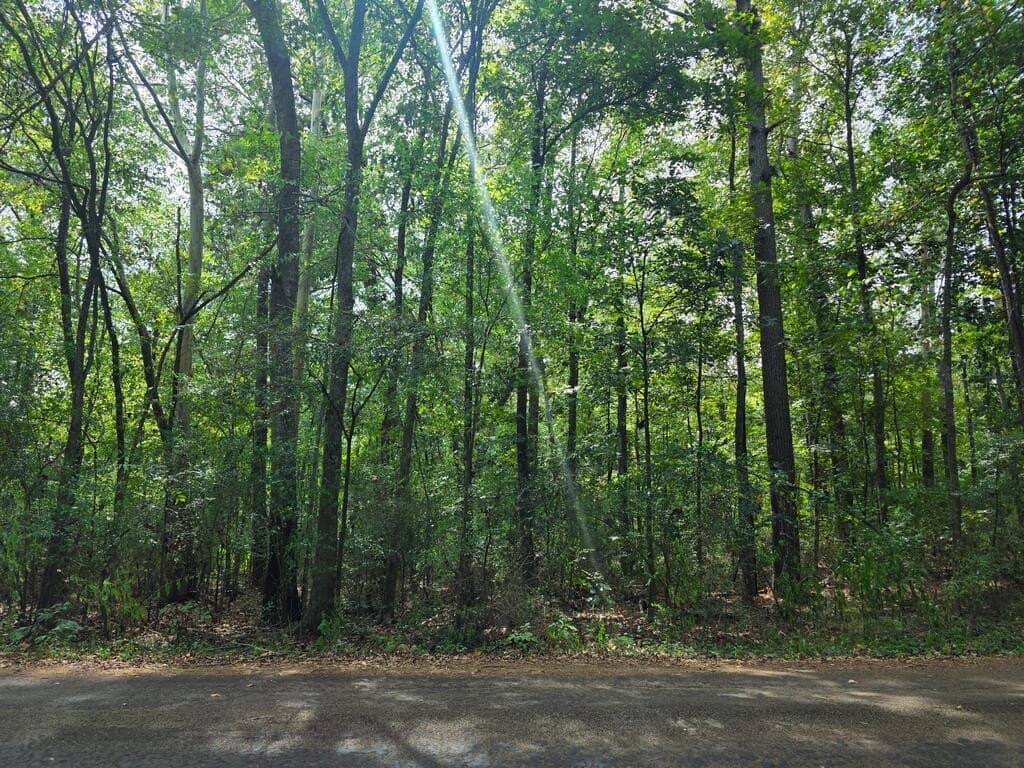 0.57 acres in Texas County - photo 3
