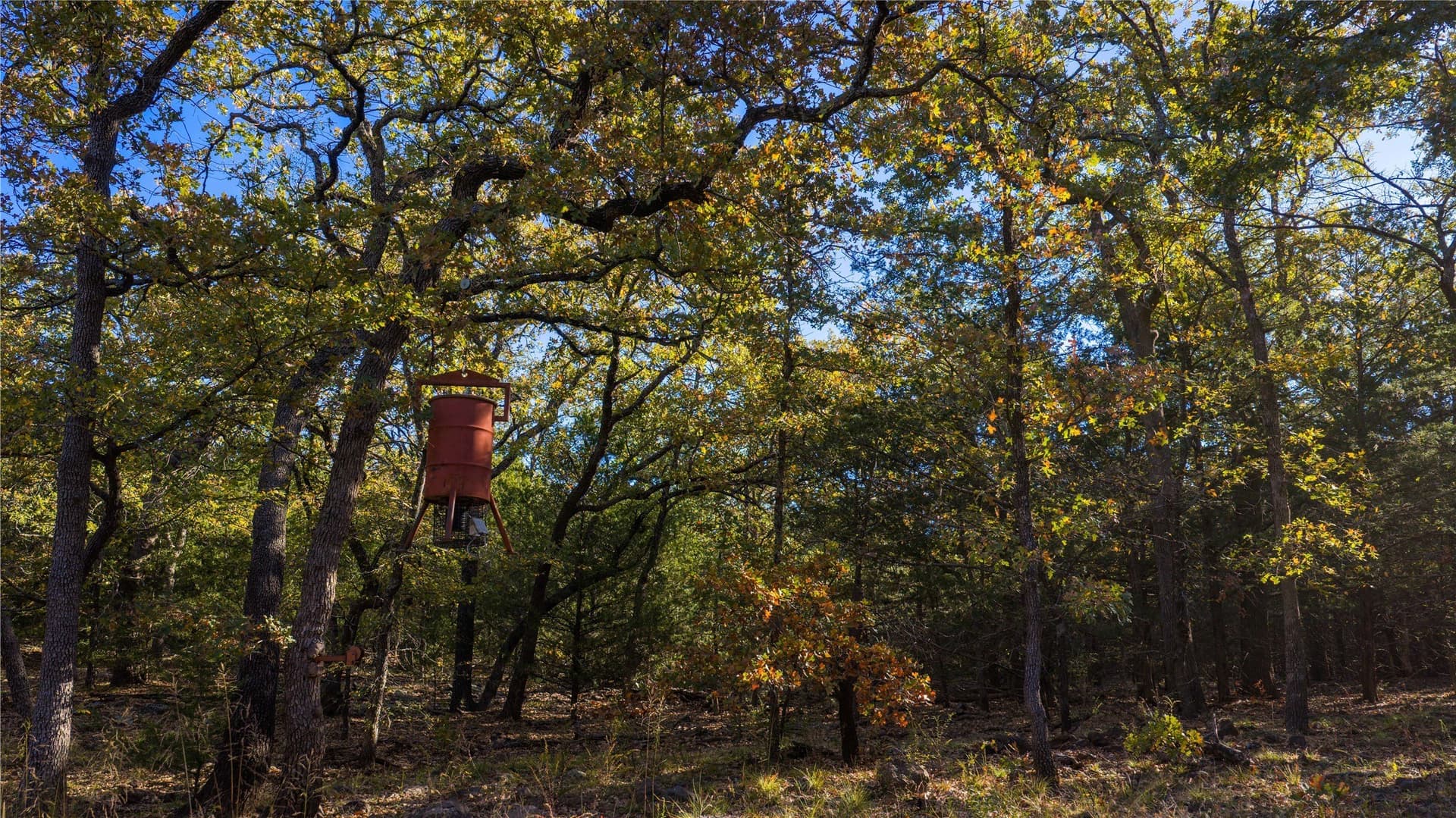 230 acres in Cooke County - photo 36