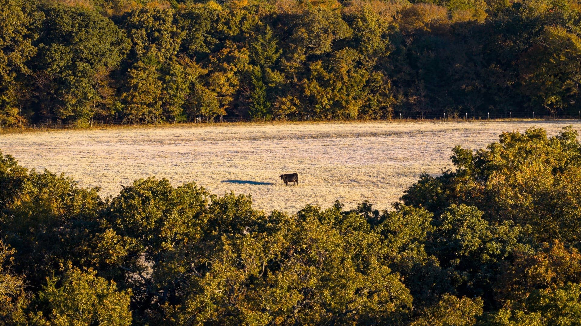 230 acres in Cooke County - photo 28