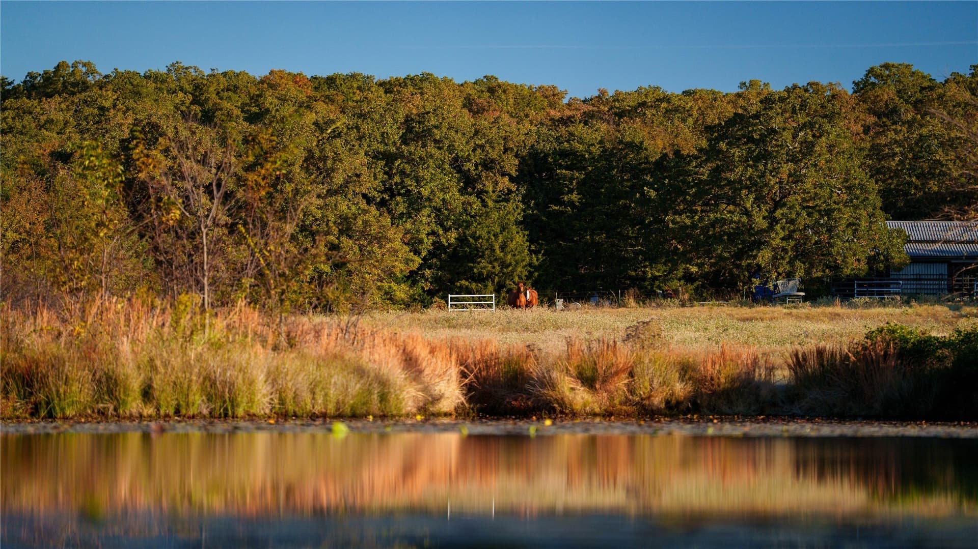 230 acres in Cooke County - photo 6
