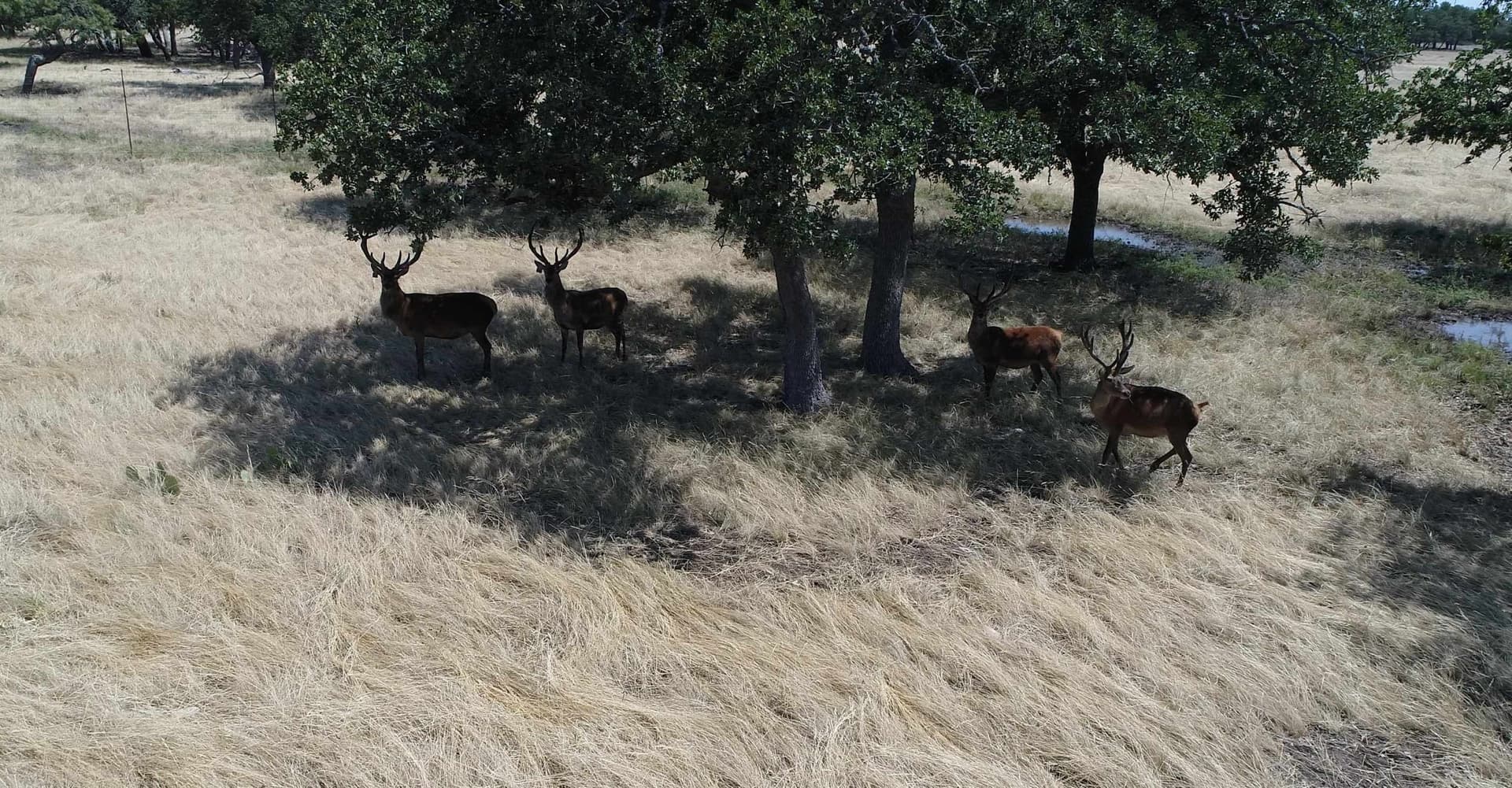 460 acres in Texas County featured view