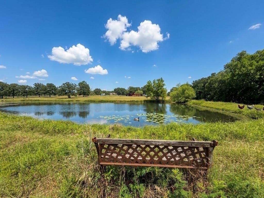 10.02 acres in Kaufman County gallery image 3