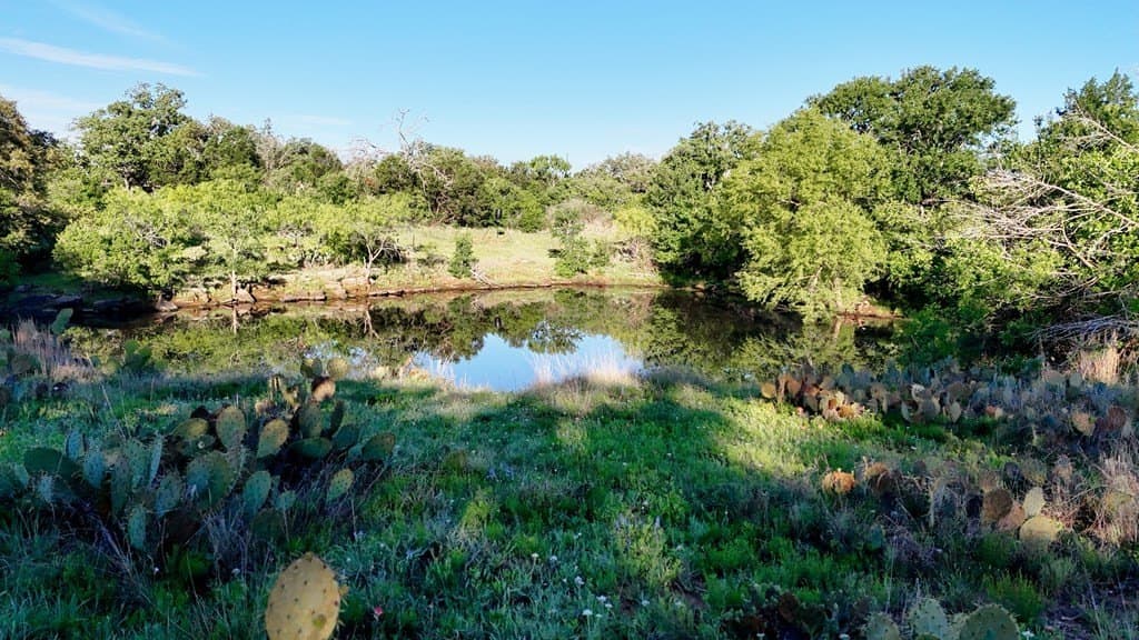 44.8 acres in Llano County - photo 14