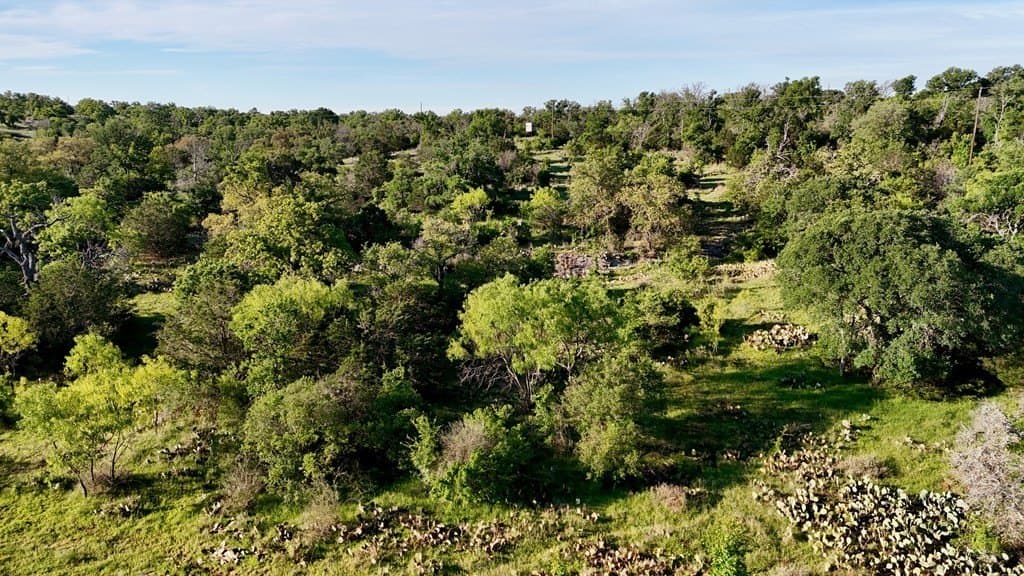 44.8 acres in Llano County - photo 19