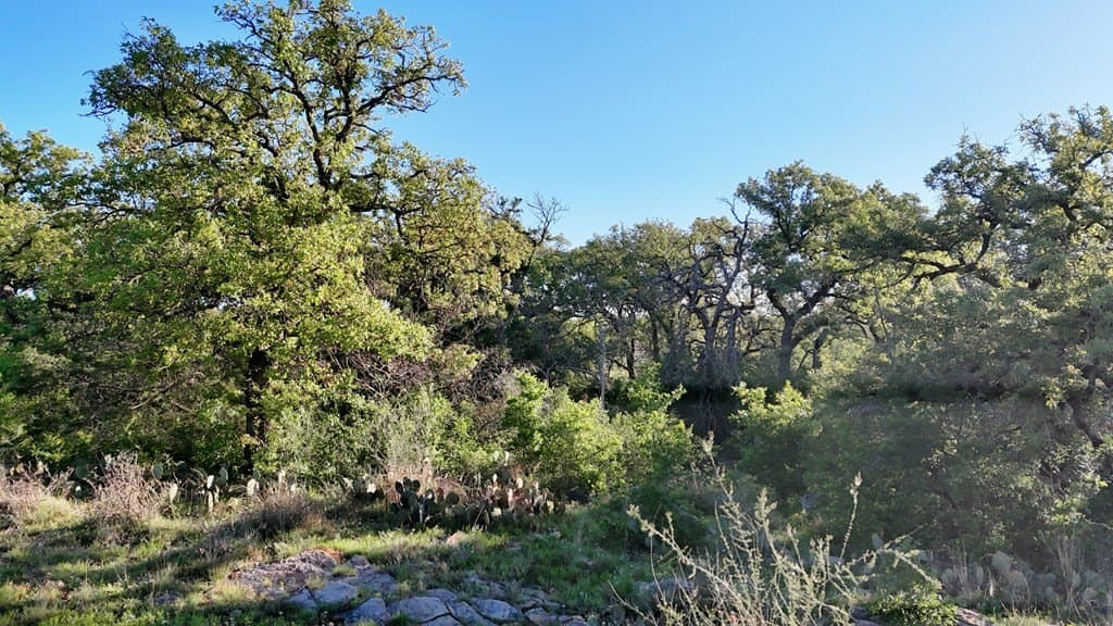44.8 acres in Llano County - photo 28