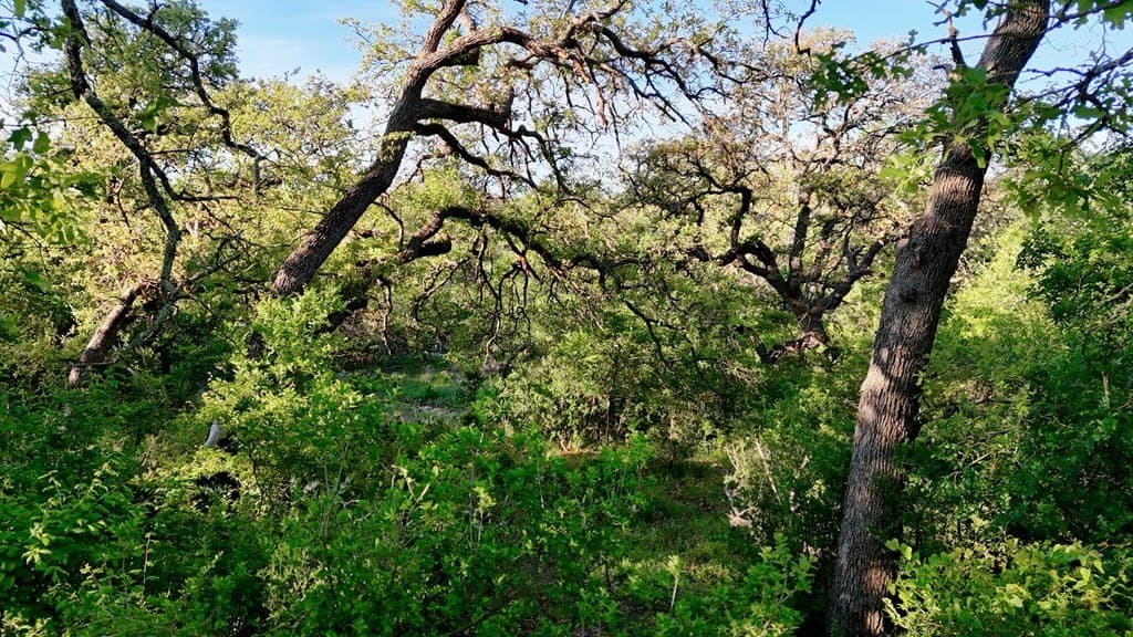 44.8 acres in Llano County - photo 26