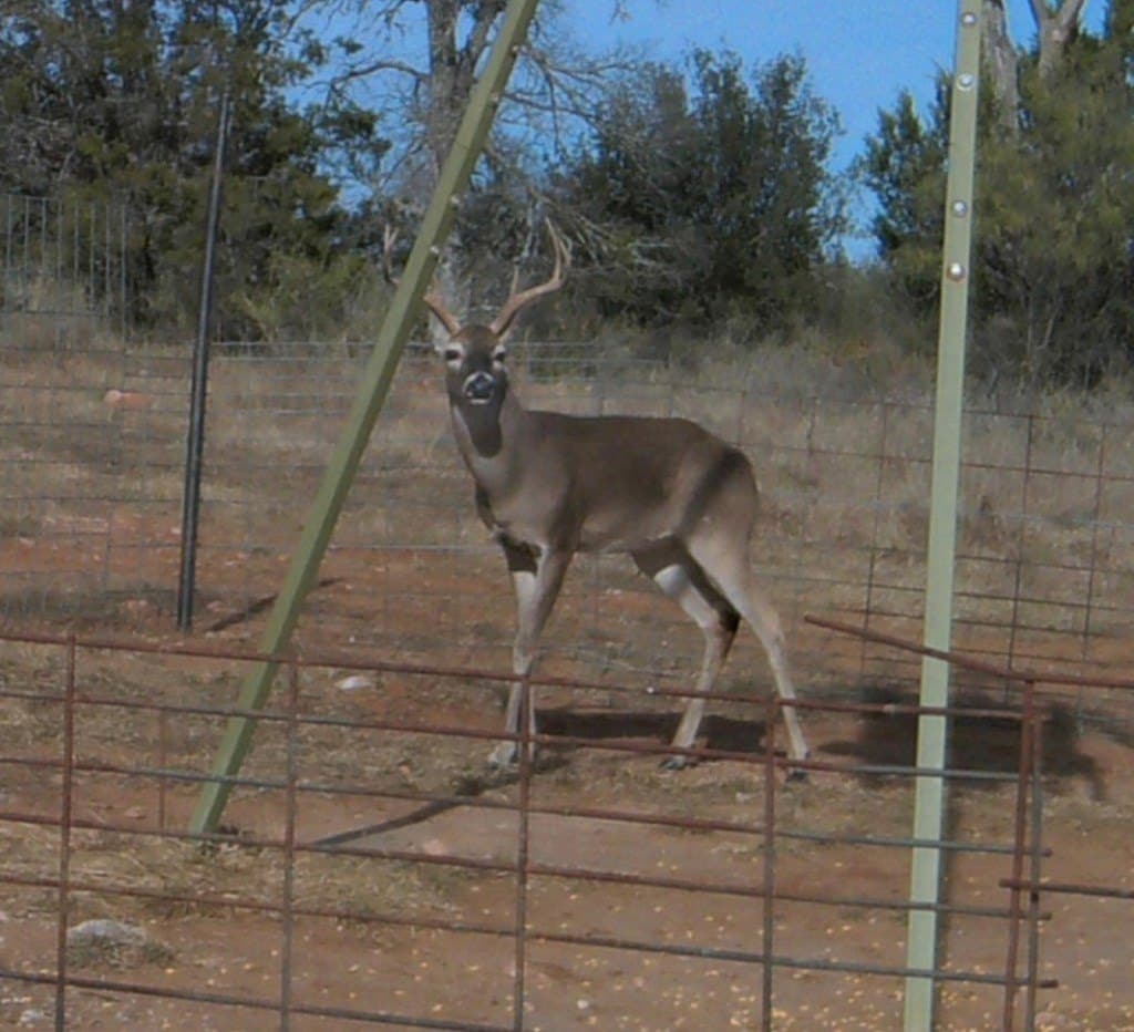 44.8 acres in Llano County - photo 24