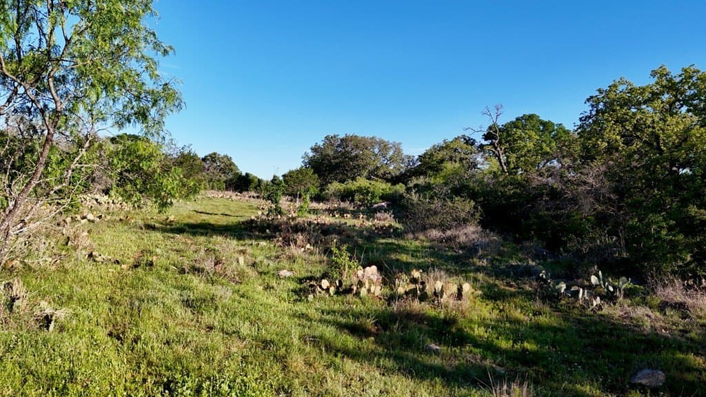44.8 acres in Llano County - photo 36