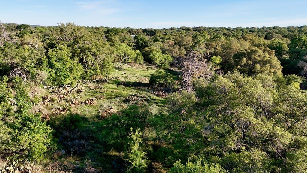 44.8 acres in Llano County - photo 18