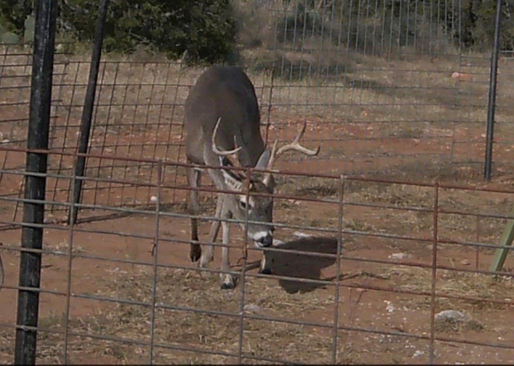 44.8 acres in Llano County - photo 22