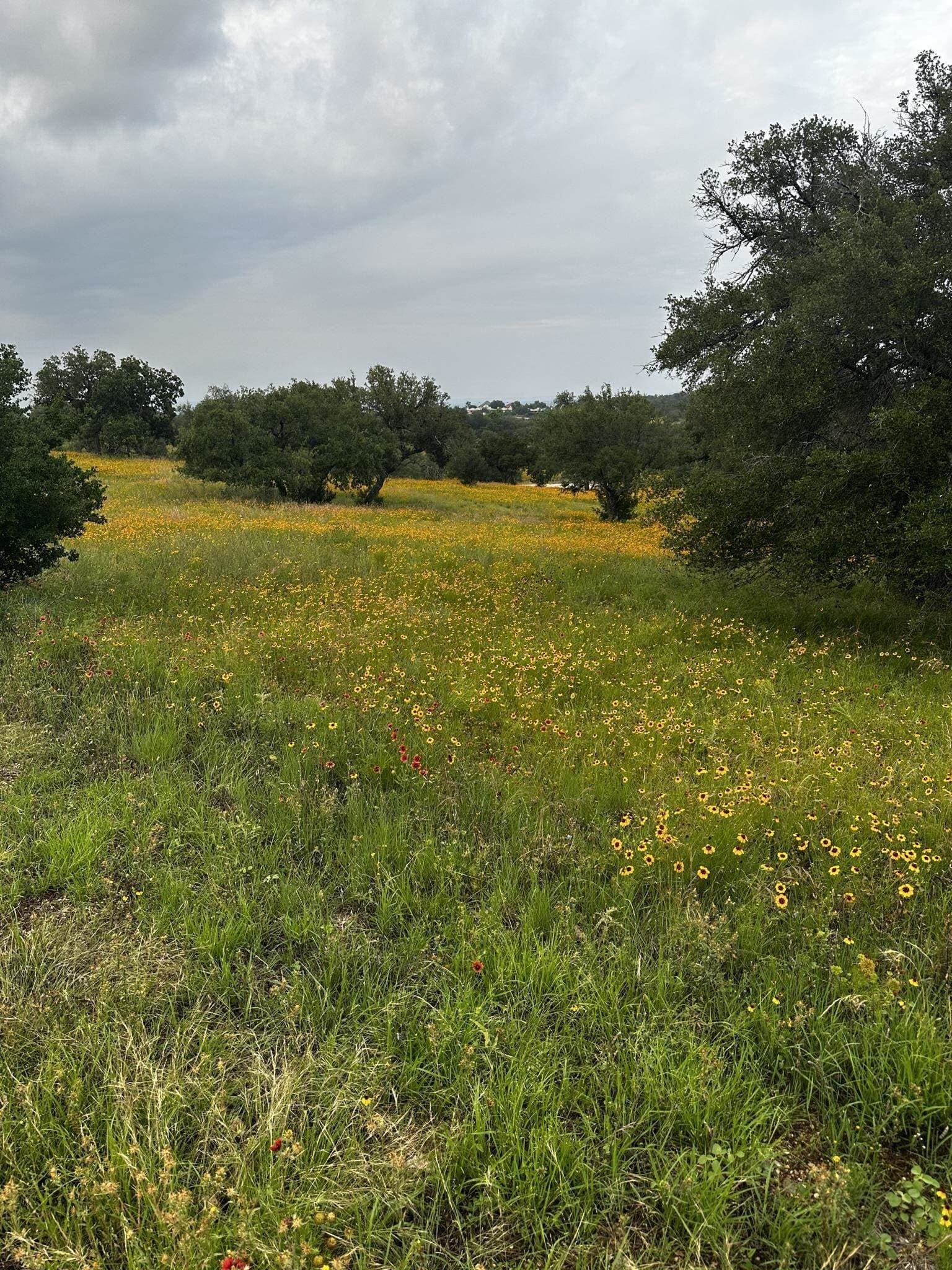 0.33 acres in Llano County - photo 18