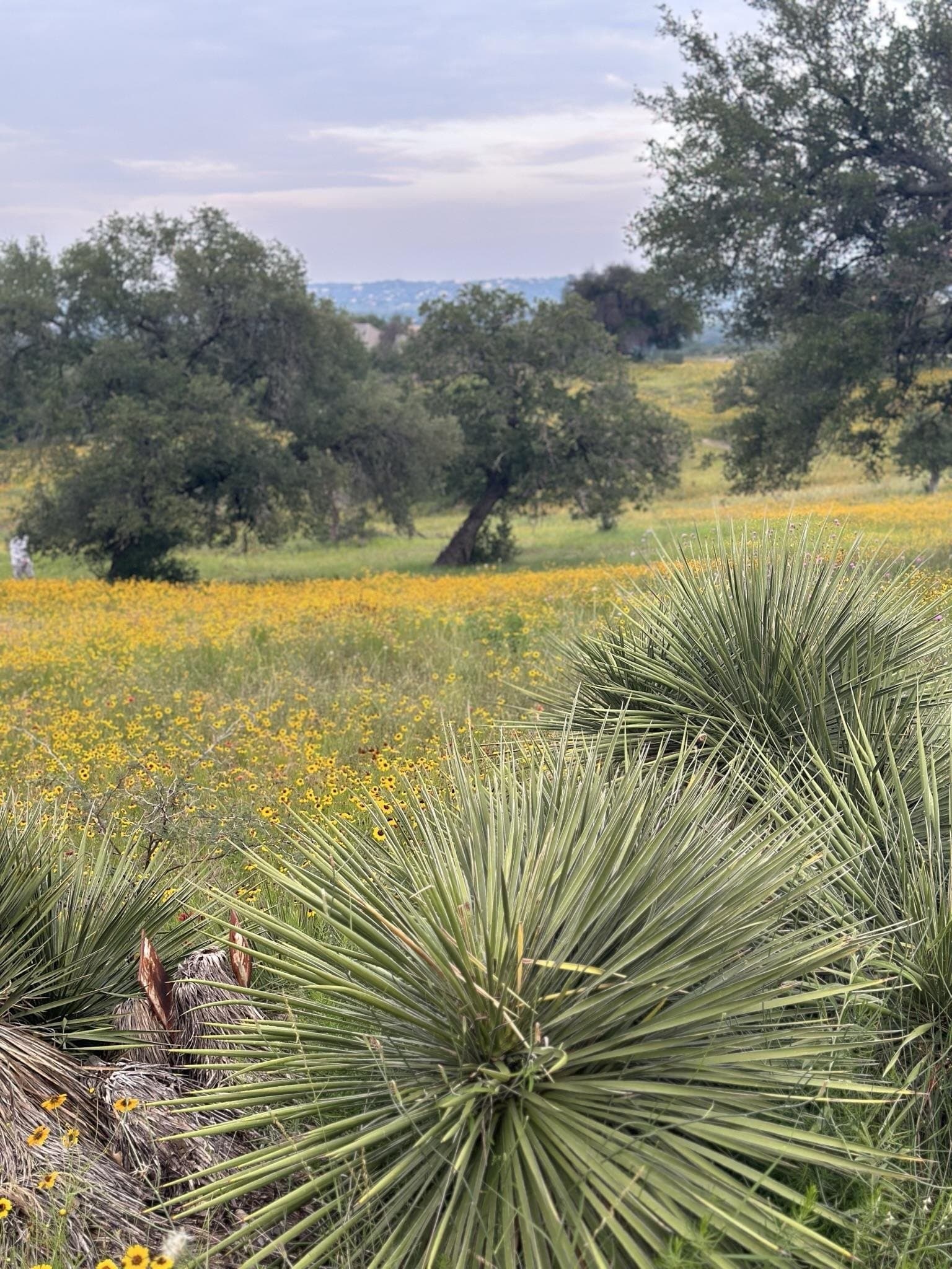 0.33 acres in Llano County gallery image 3