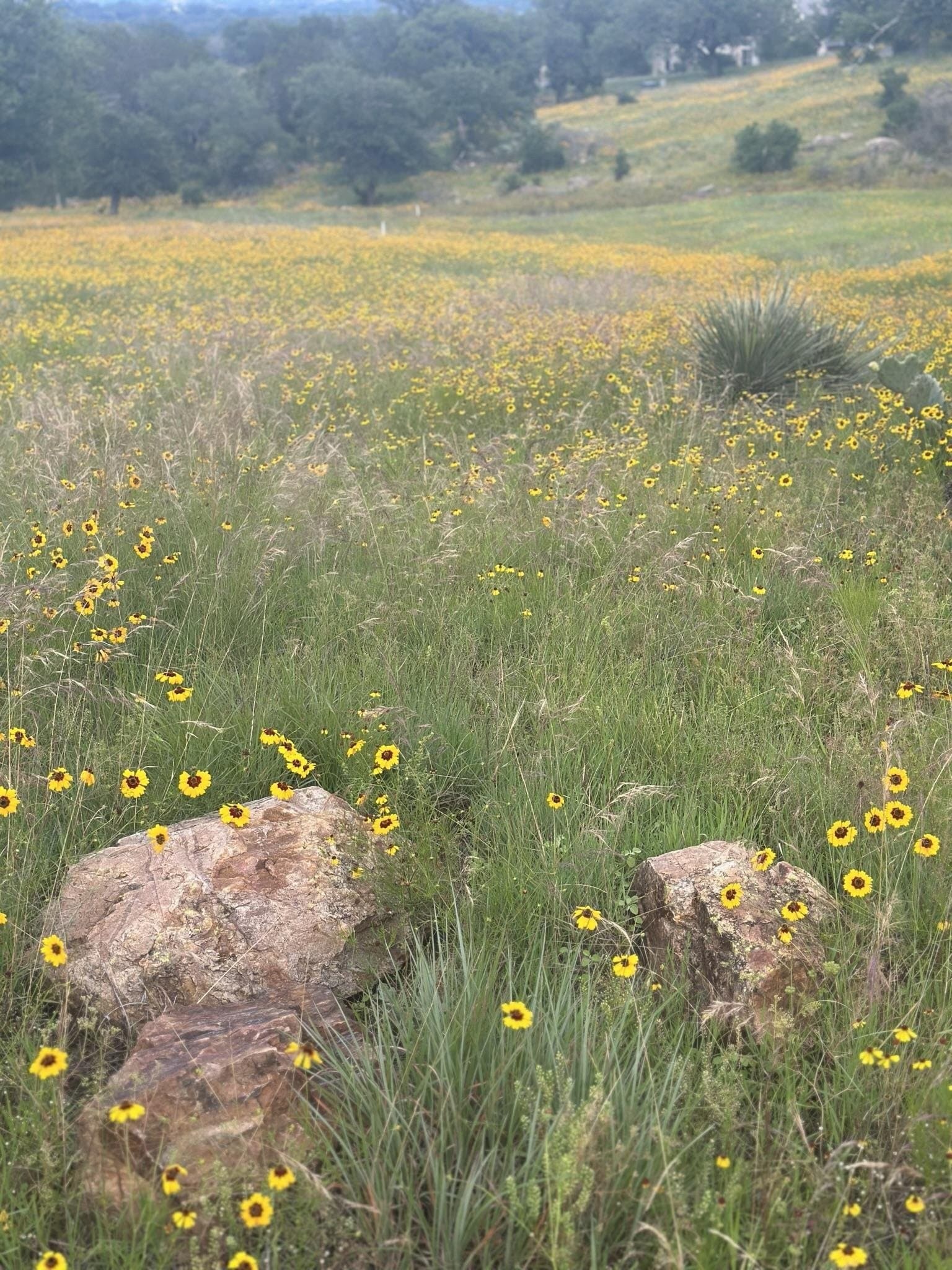 0.33 acres in Llano County - photo 10