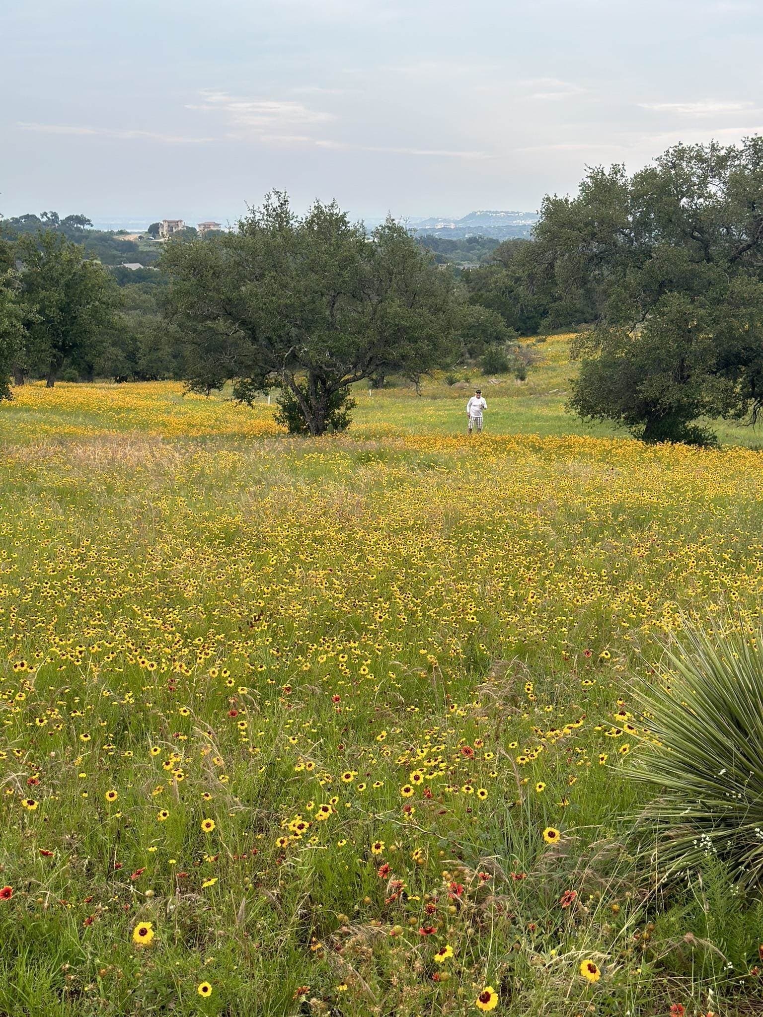 0.33 acres in Llano County - photo 12