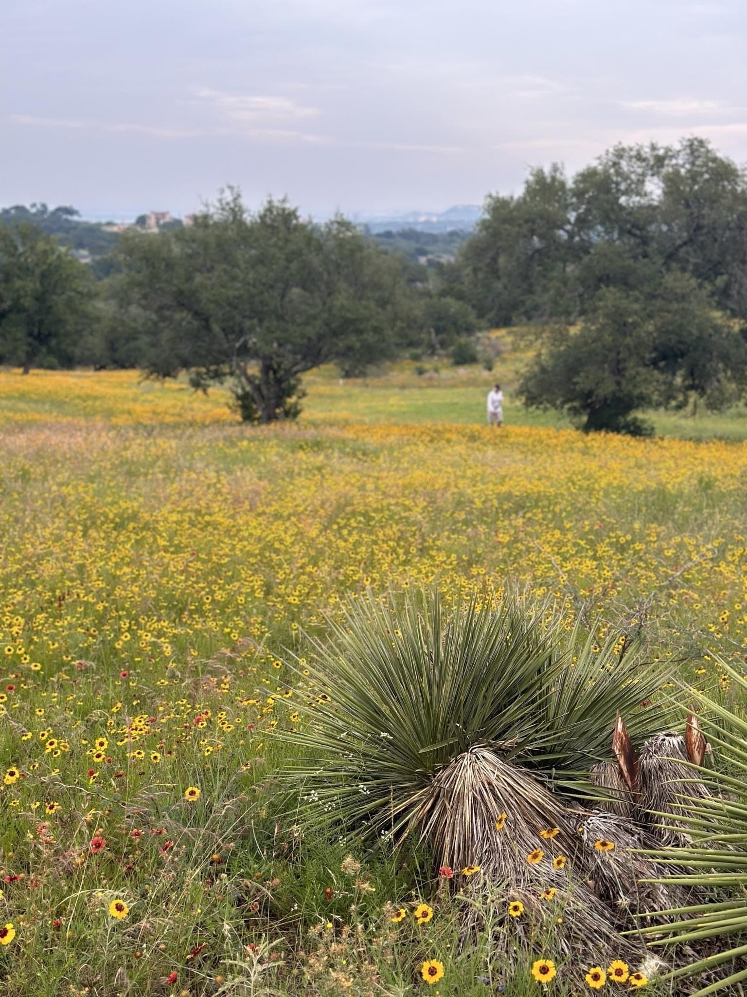 0.33 acres in Llano County - photo 13