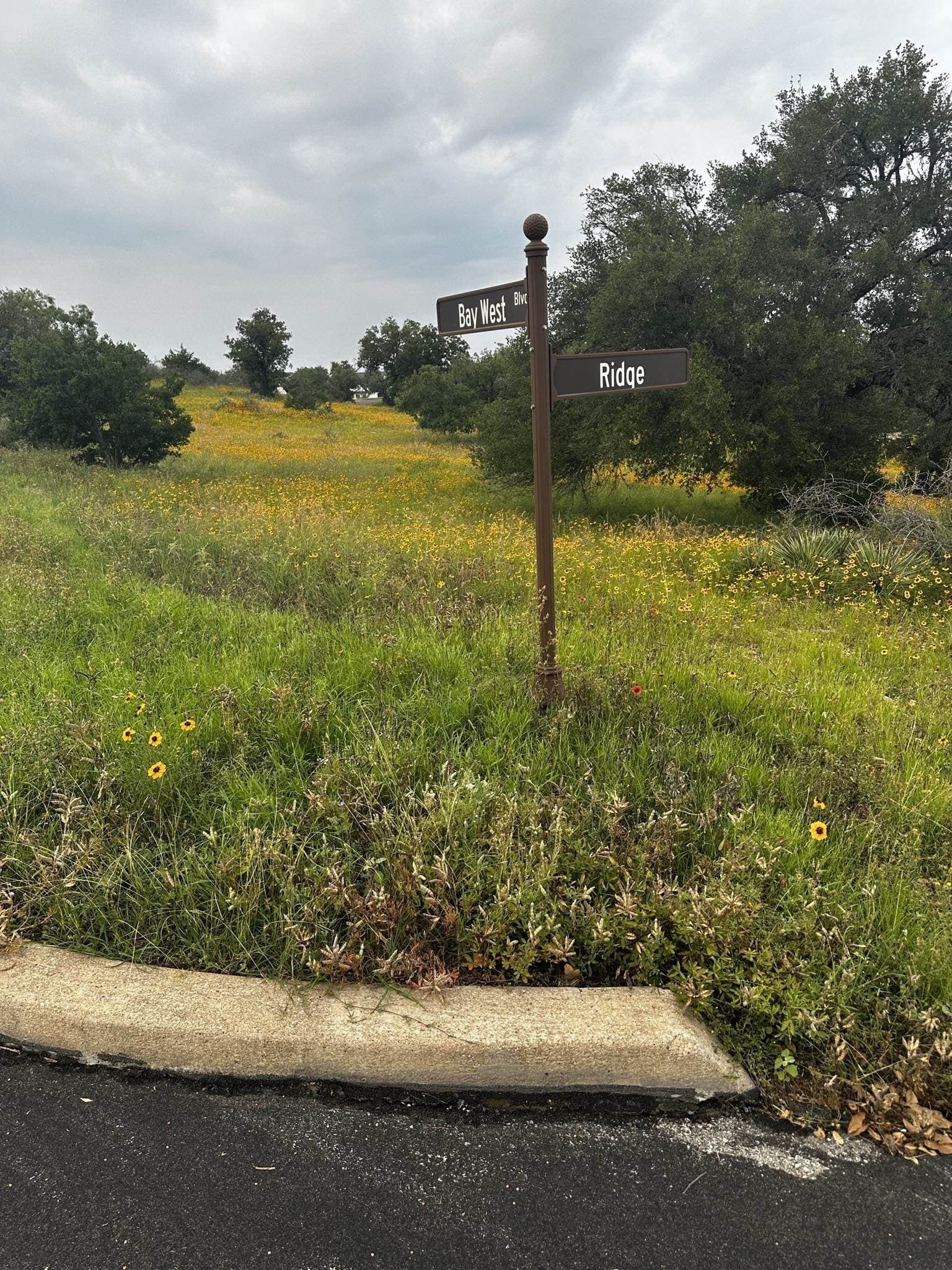 0.33 acres in Llano County - photo 16