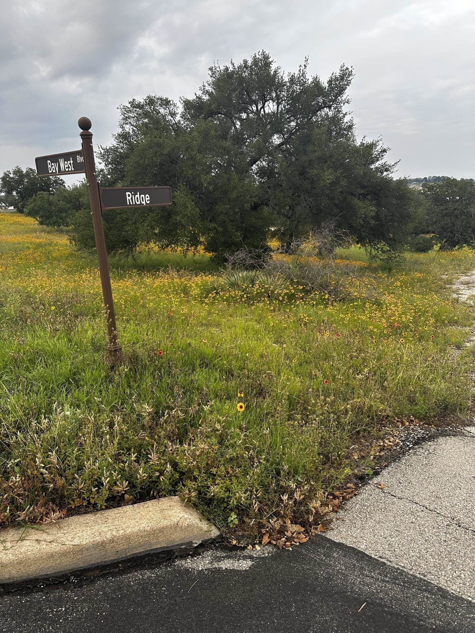 0.33 acres in Llano County - photo 20