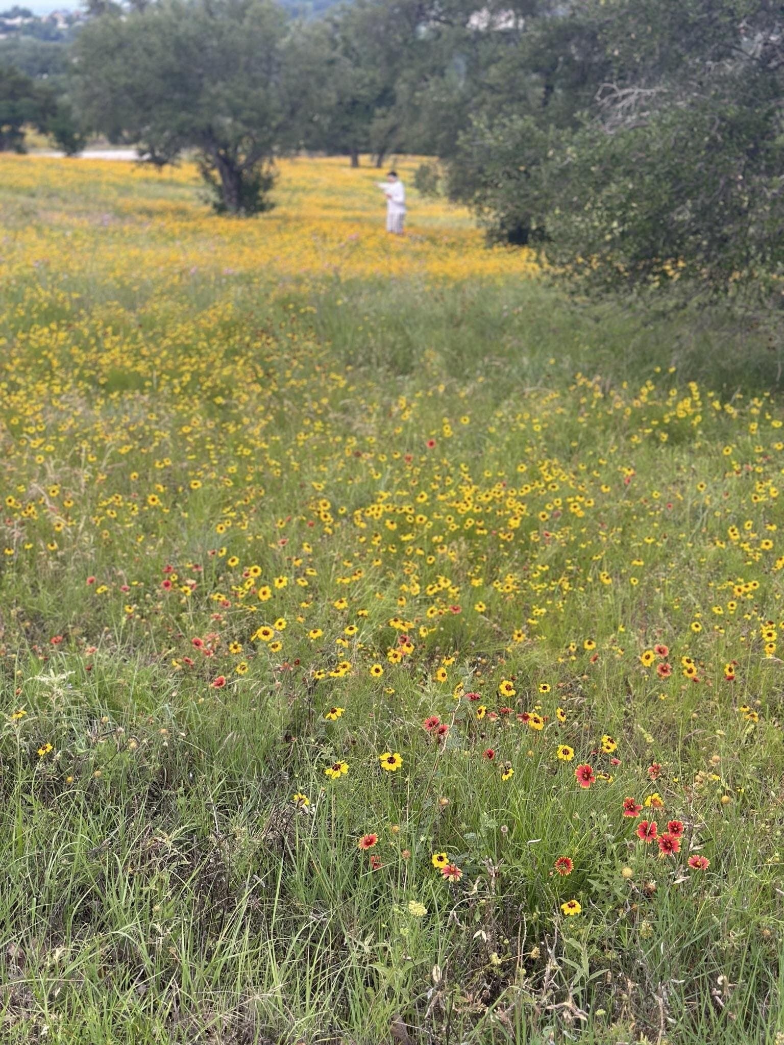 0.33 acres in Llano County - photo 15