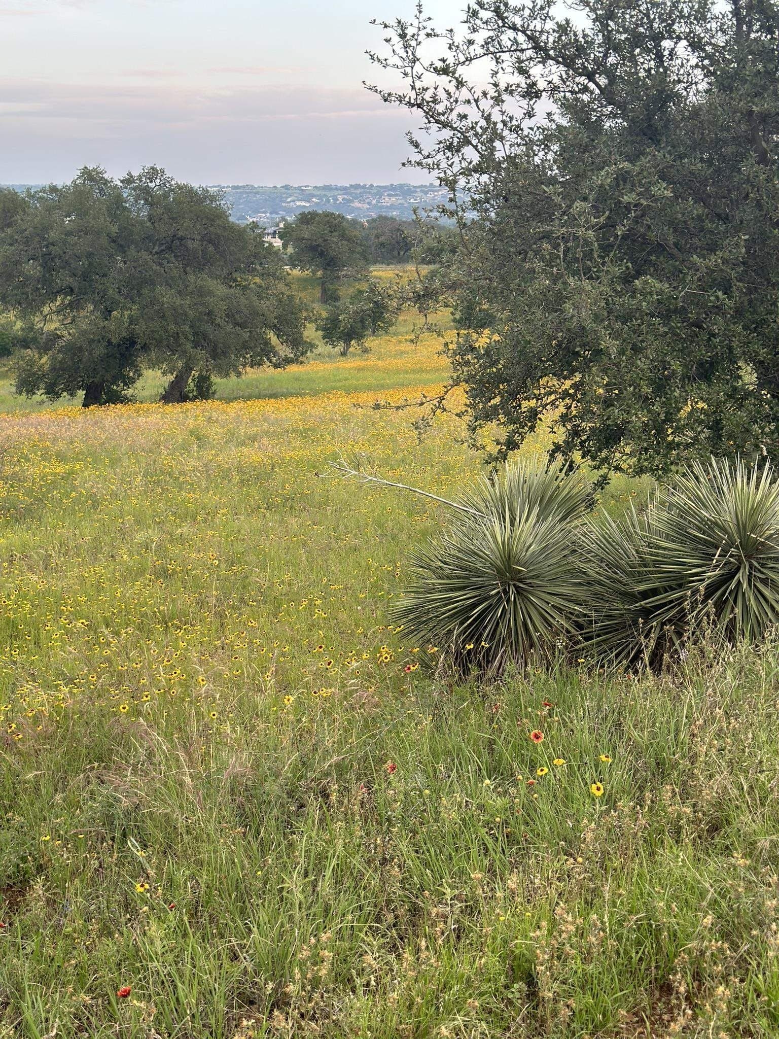0.33 acres in Llano County - photo 11