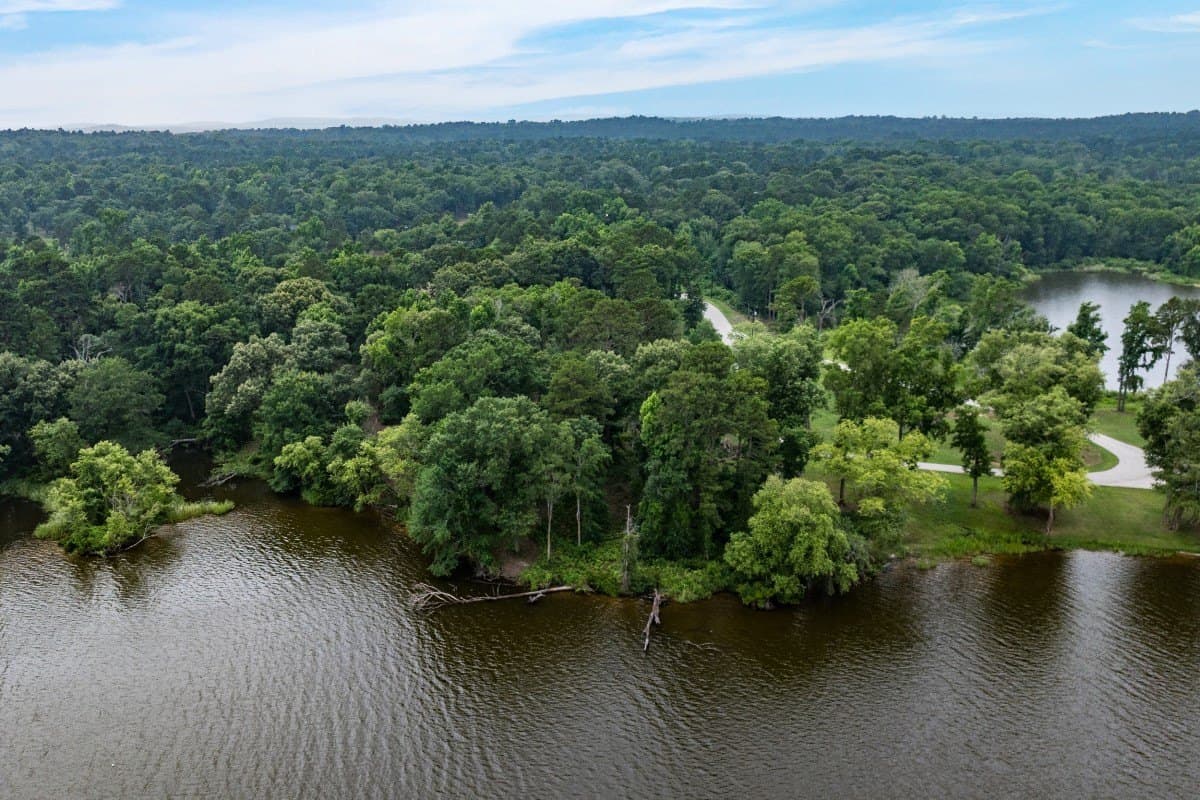2 acres in Henderson County gallery image 2
