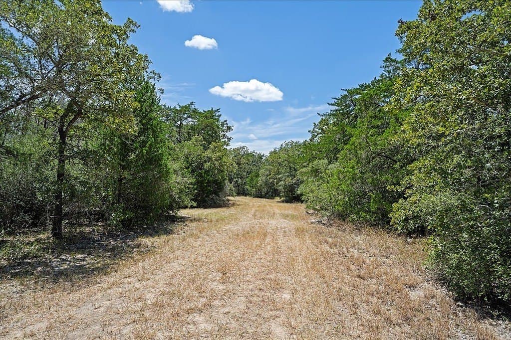 9 acres in Fayette County - photo 3