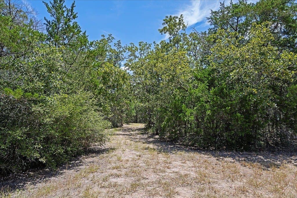 9 acres in Fayette County - photo 5