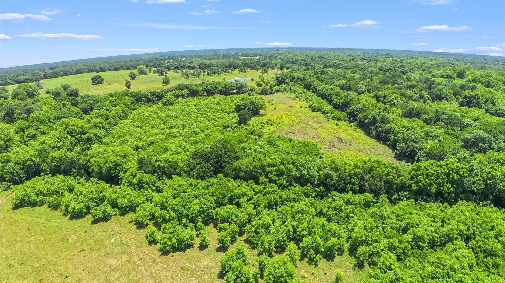 65.08 acres in Freestone County - photo 9