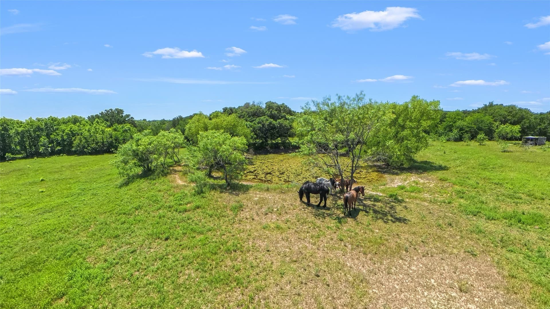 65.08 acres in Freestone County - photo 17