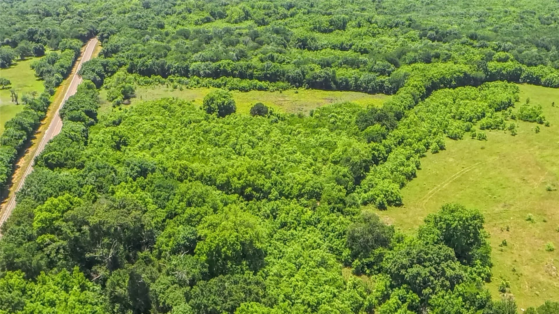 65.08 acres in Freestone County - photo 5