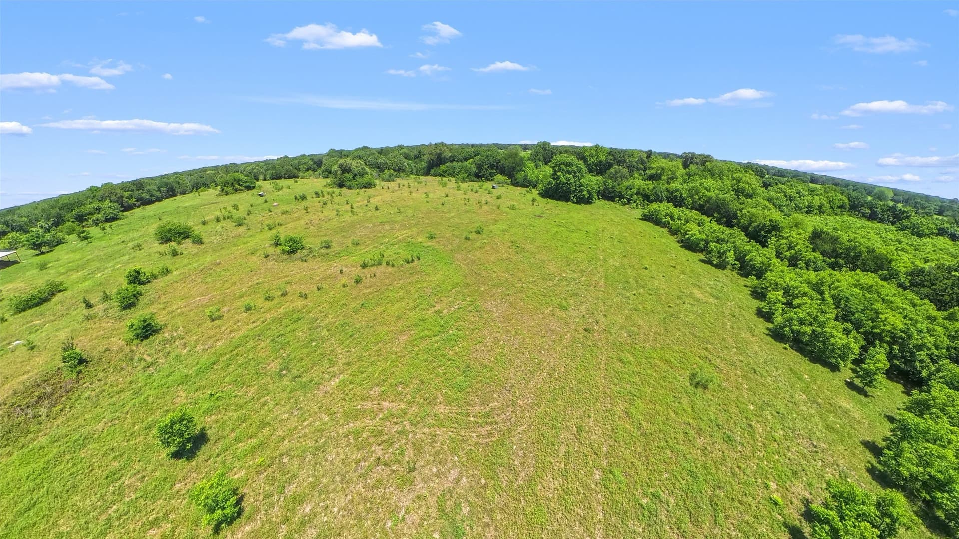 65.08 acres in Freestone County - photo 11