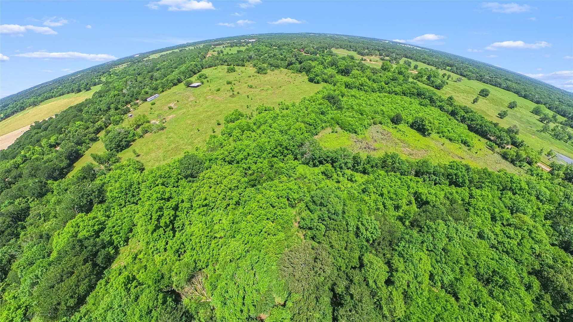 65.08 acres in Freestone County - photo 19