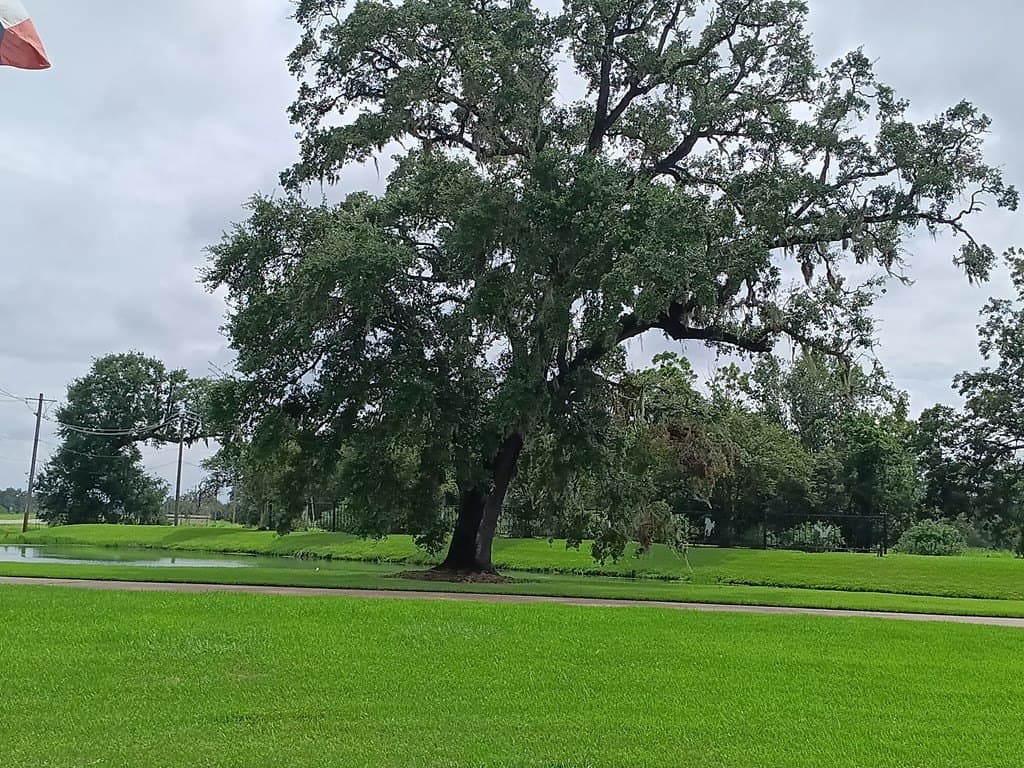 0.91 acres in Angleton County - photo 6