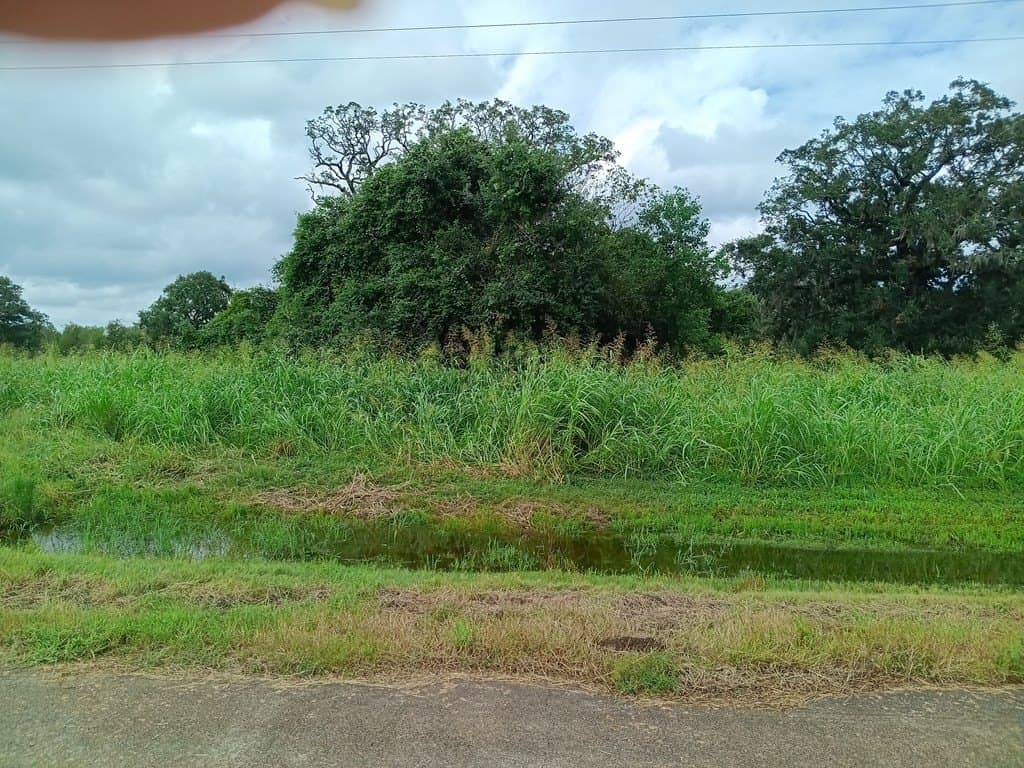 0.91 acres in Angleton County - photo 2