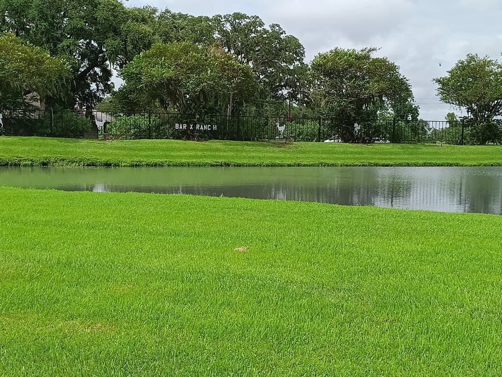 0.91 acres in Angleton County - photo 3
