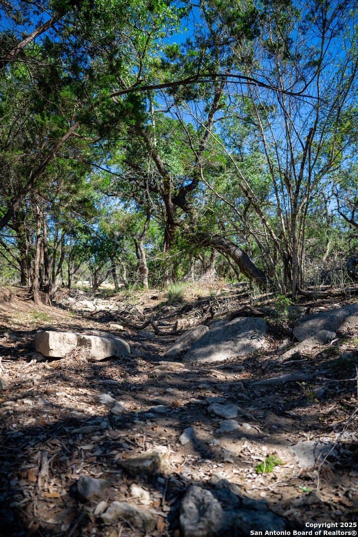 1.03 acres in Comal County - photo 9