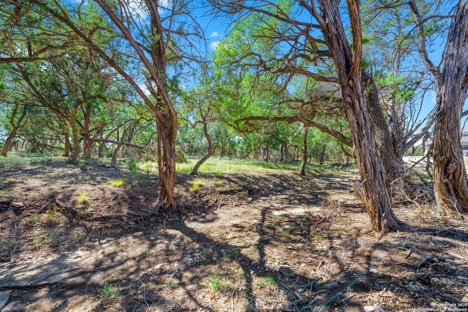 1.03 acres in Comal County - photo 12